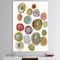 Designart - Circular Composition II - Mid-Century Modern Canvas Artwork